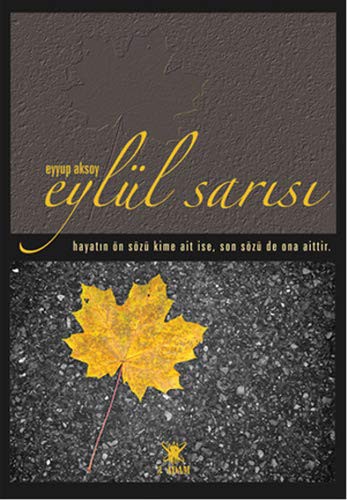 Eylül Sarısı kitap kapağı