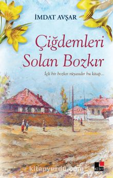 Çiğdemleri Solan Bozkır kitap kapağı