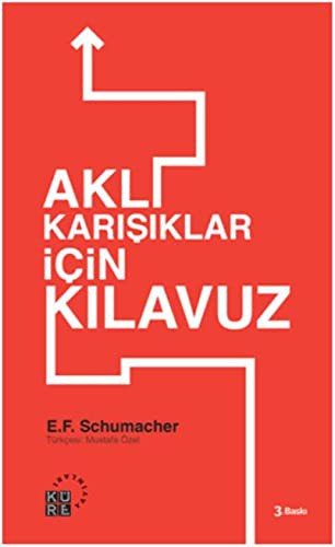 Aklıkarışıklar İçin Kılavuz kitap kapağı