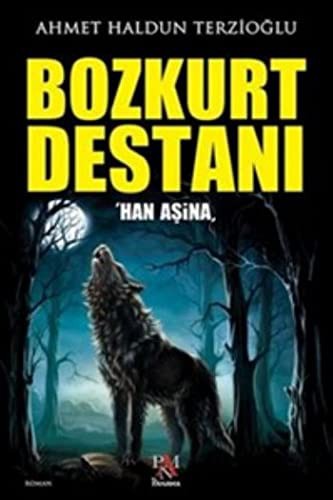 Bozkurt Destanı kitap kapağı