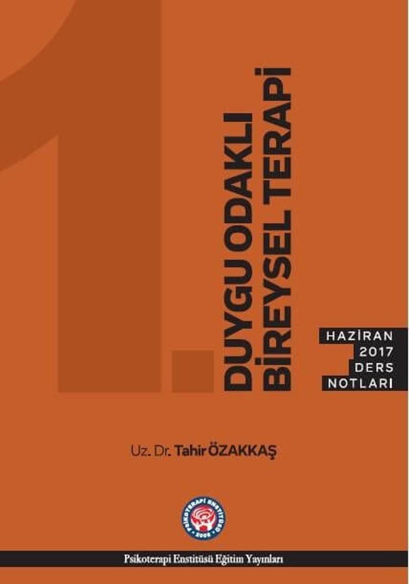 Duygu Odaklı Bireysel Terapi - Haziran 2017 Ders Notları kitap kapağı