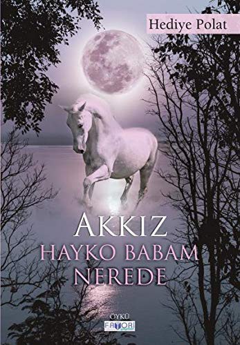 Akkız - Hayko Babam Nerede kitap kapağı