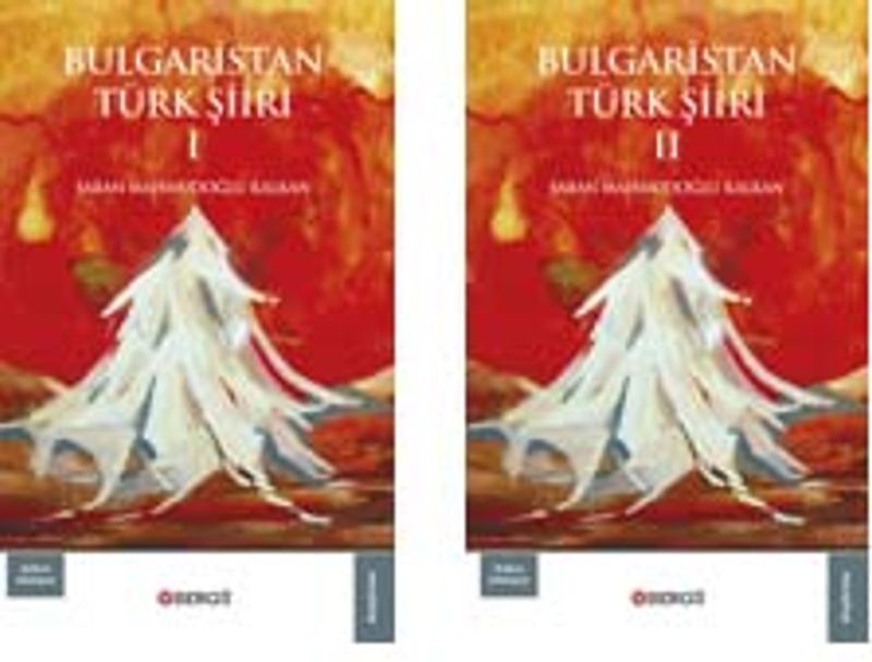 Bulgaristan Türk Şiiri (2 Cilt) kitap kapağı