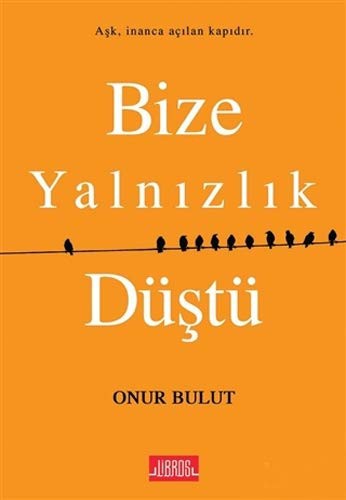 Bize Yalnızlık Düştü kitap kapağı