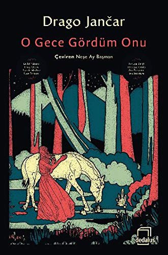 O Gece Gördüm Onu kitap kapağı