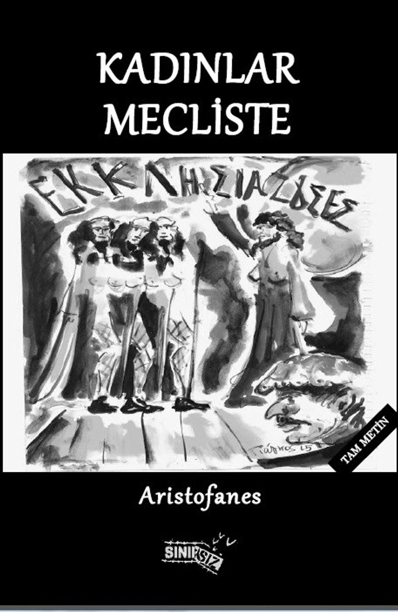 Kadınlar Mecliste kitap kapağı