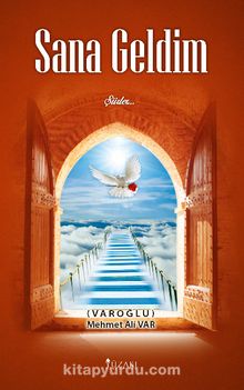 Sana Geldim kitap kapağı
