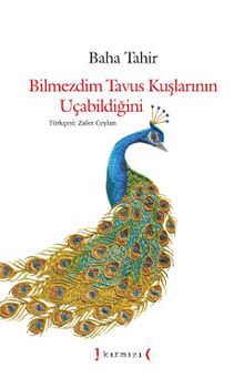 Bilmezdim Tavus Kuşlarının Uçabildiğini kitap kapağı