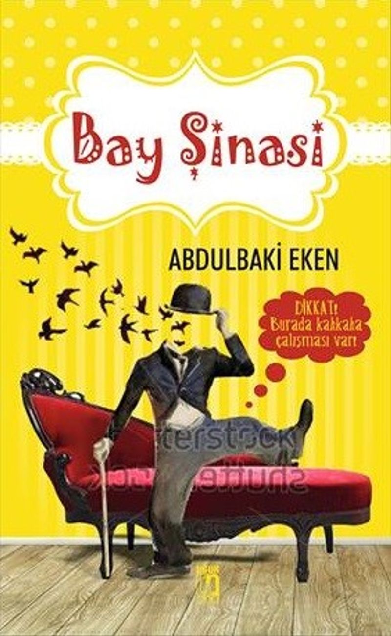 Bay Şinasi kitap kapağı