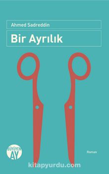 Bir Ayrılık kitap kapağı