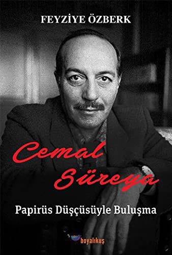 Cemal Süreya: Papirüs Düşçüsüyle Buluşma kitap kapağı