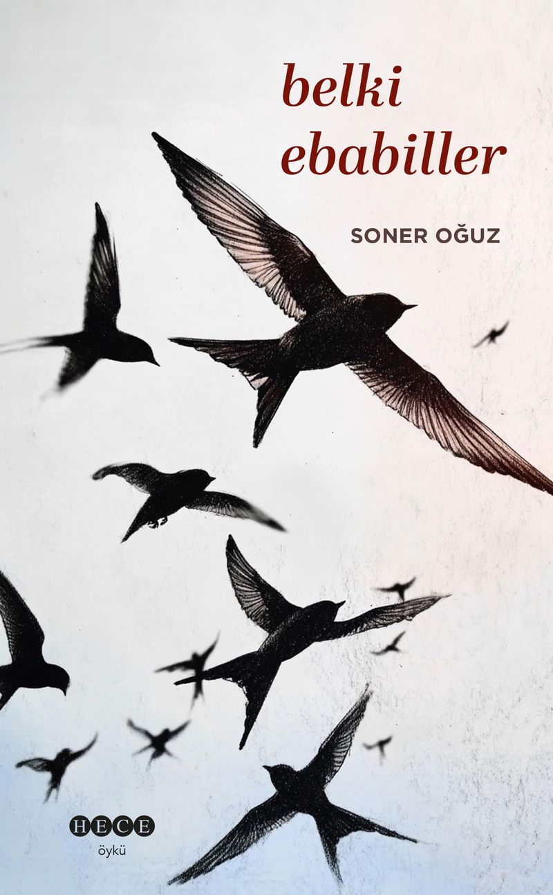 Belki Ebabiller kitap kapağı