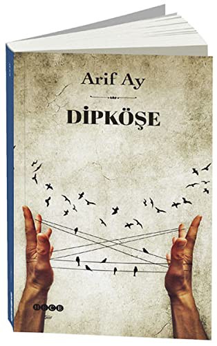 Dipköşe kitap kapağı