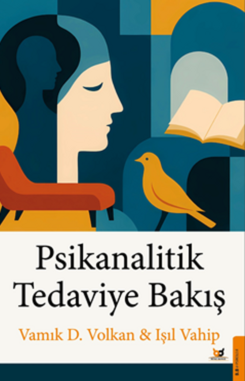 Psikanalitik Tedaviye Bakış kitap kapağı