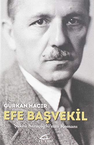 Efe Başvekil kitap kapağı