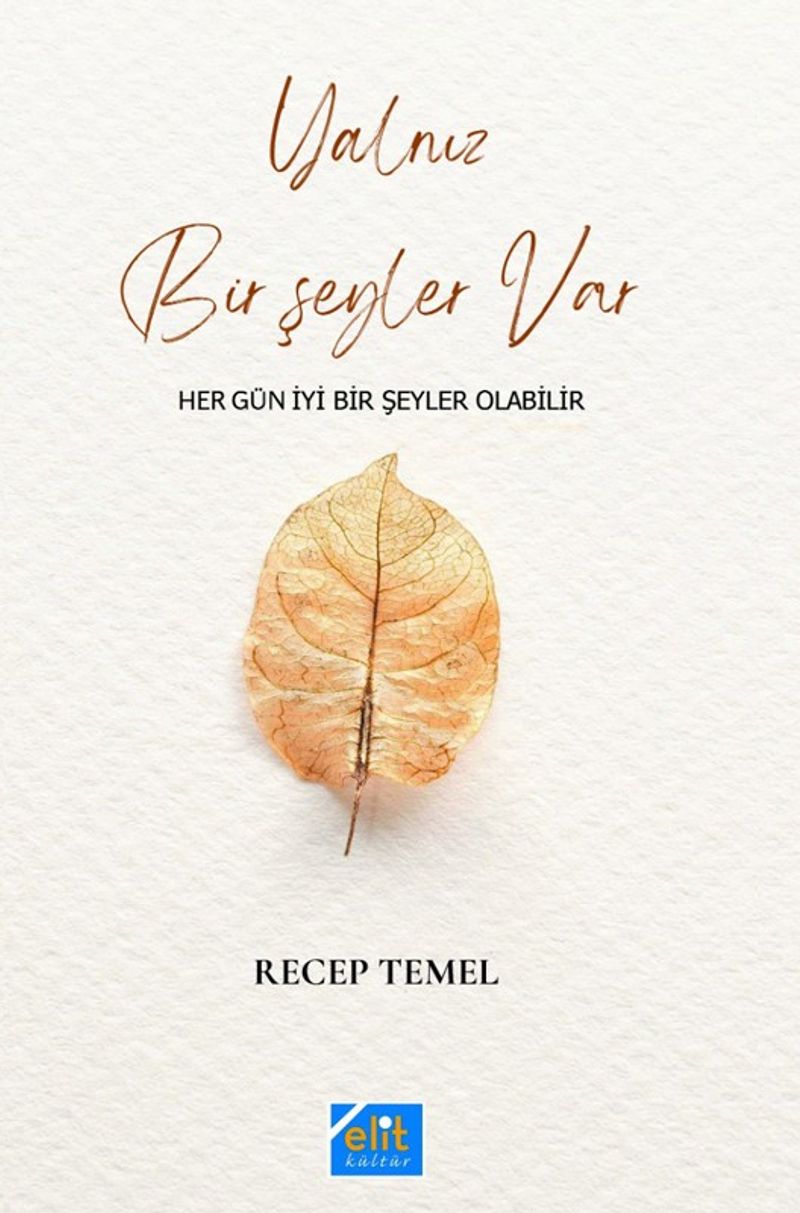 Yalnız Bir Şeyler Var kitap kapağı