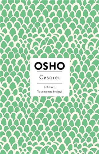 Cesaret & Tehlikeli Yaşamanın Sevinci kitap kapağı