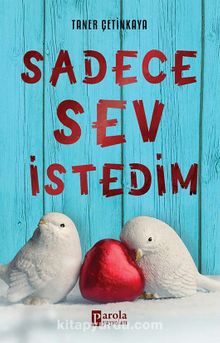 Sadece Sev İstedim kitap kapağı