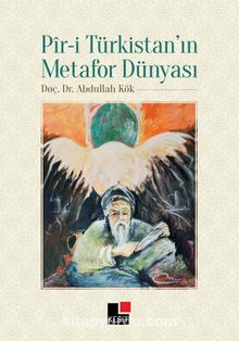 Pir-i Türkistan’ın Metafor Dünyası kitap kapağı