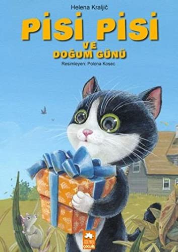 Pisi Pisi ve Doğum Günü kitap kapağı