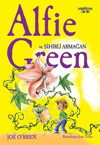 Alfie Green ve Sihirli Armağan kitap kapağı