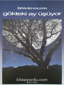 Gökteki Ay Üşüyor kitap kapağı