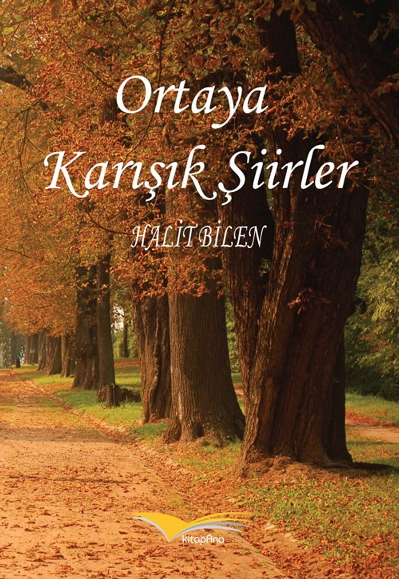 Ortaya Karışık Şiirler kitap kapağı