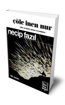 Çöle İnen Nur (Ciltli Hatıra Baskı) kitap kapağı