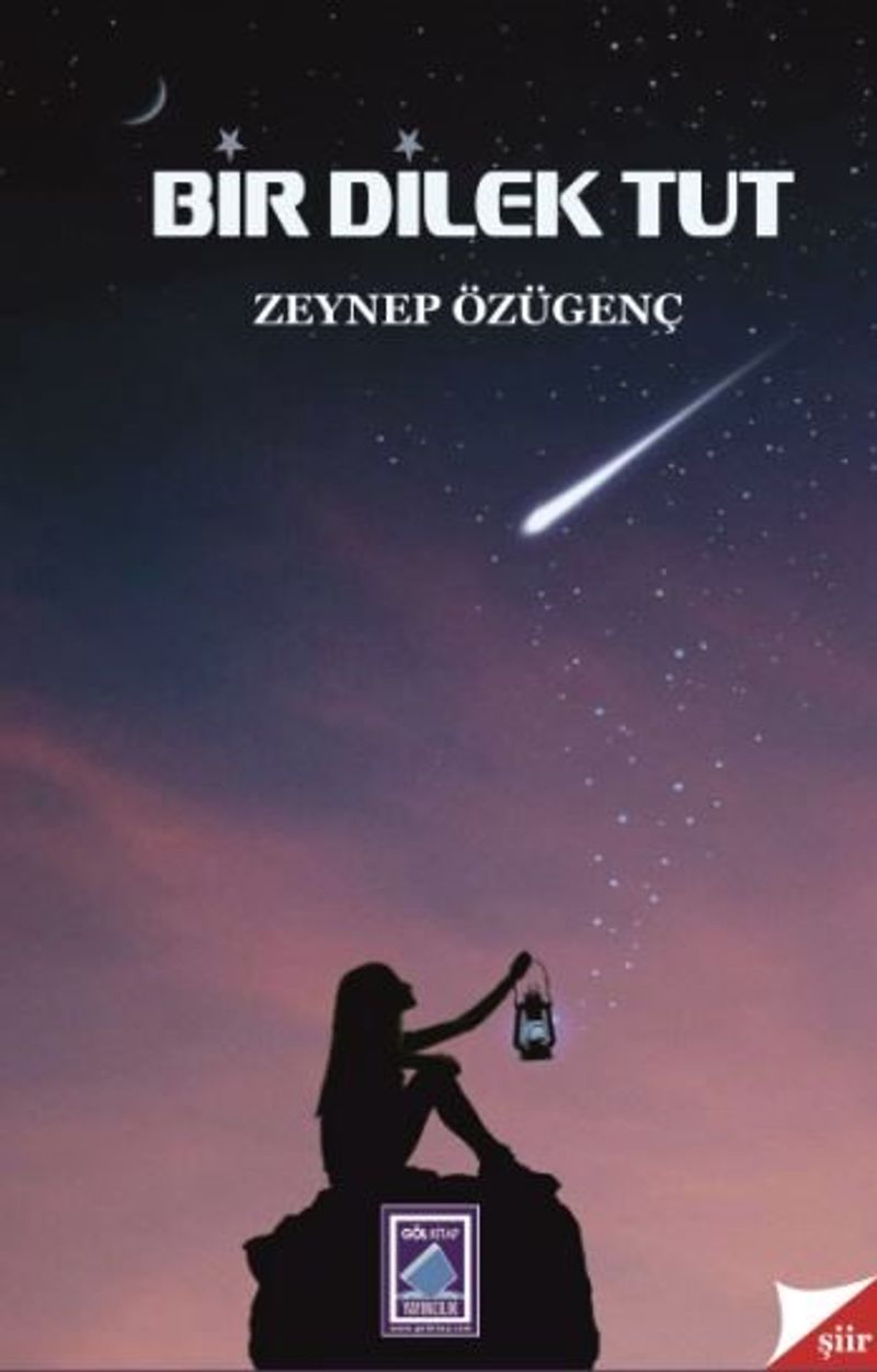 Bir Dilek Tut kitap kapağı
