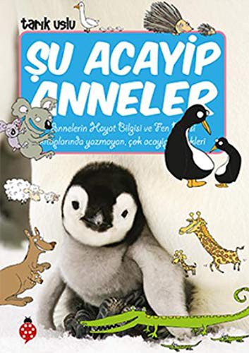 Şu Acayip Anneler kitap kapağı
