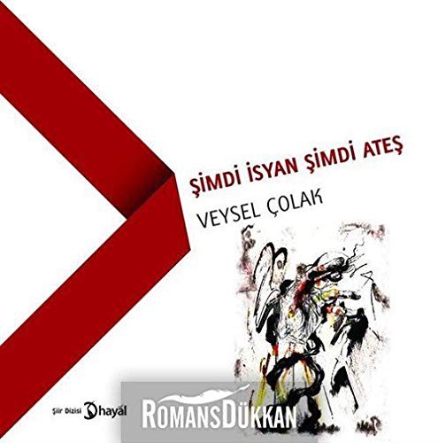 Şimdi İsyan Şimdi Ateş kitap kapağı