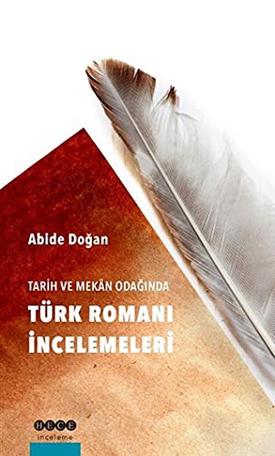 Tarih ve Mekan Odağında Türk Romanı İncelemeleri kitap kapağı