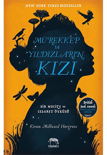 Mürekkep ve Yıldızların Kızı kitap kapağı