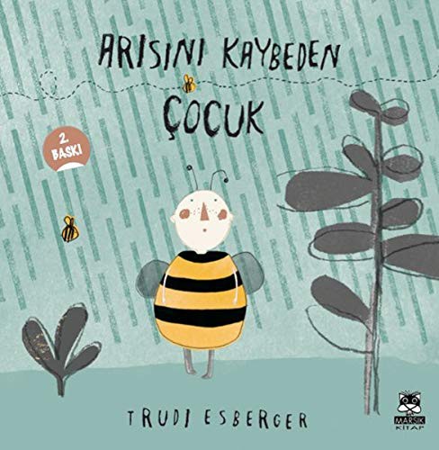 Arısını Kaybeden Çocuk kitap kapağı