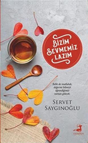 Bizim Sevmemiz Lazım kitap kapağı