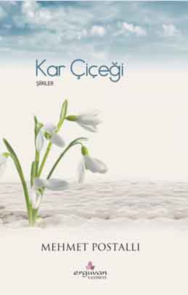Kar Çiçeği kitap kapağı