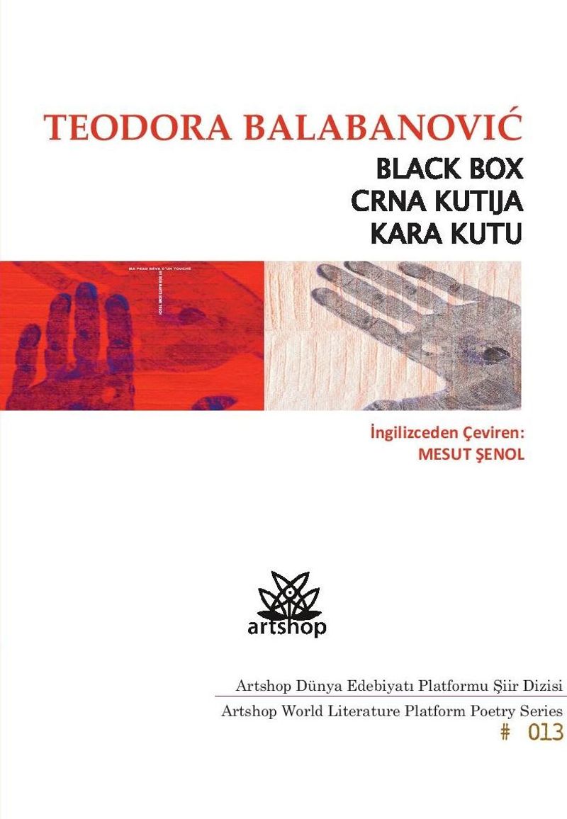 Kara Kutu kitap kapağı