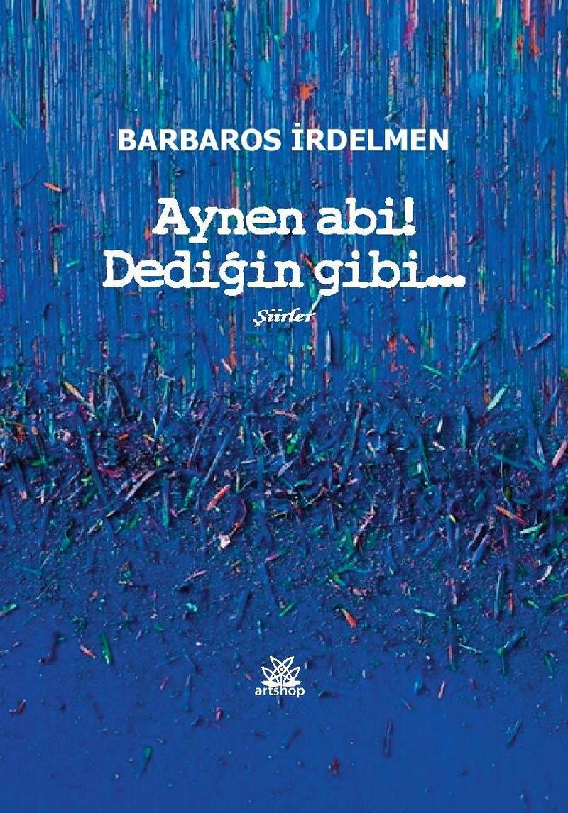 Aynen Abi! Dediğin Gibi kitap kapağı