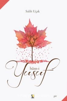 Hüsn-i Yusuf kitap kapağı