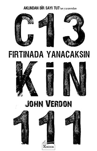 Fırtınada Yanacaksın kitap kapağı