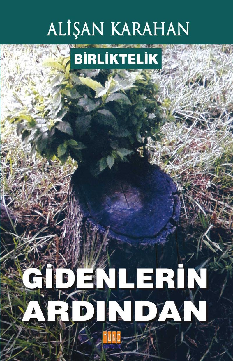Birliktelik - Gidenlerin Ardından kitap kapağı