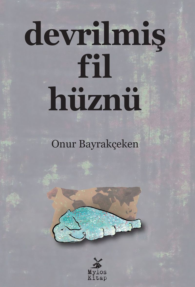 Devrilmiş Fil Hüznü kitap kapağı