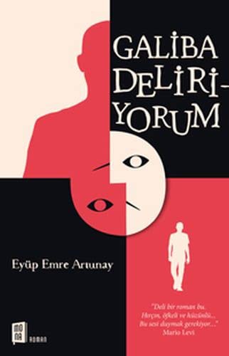 Galiba Deliriyorum kitap kapağı