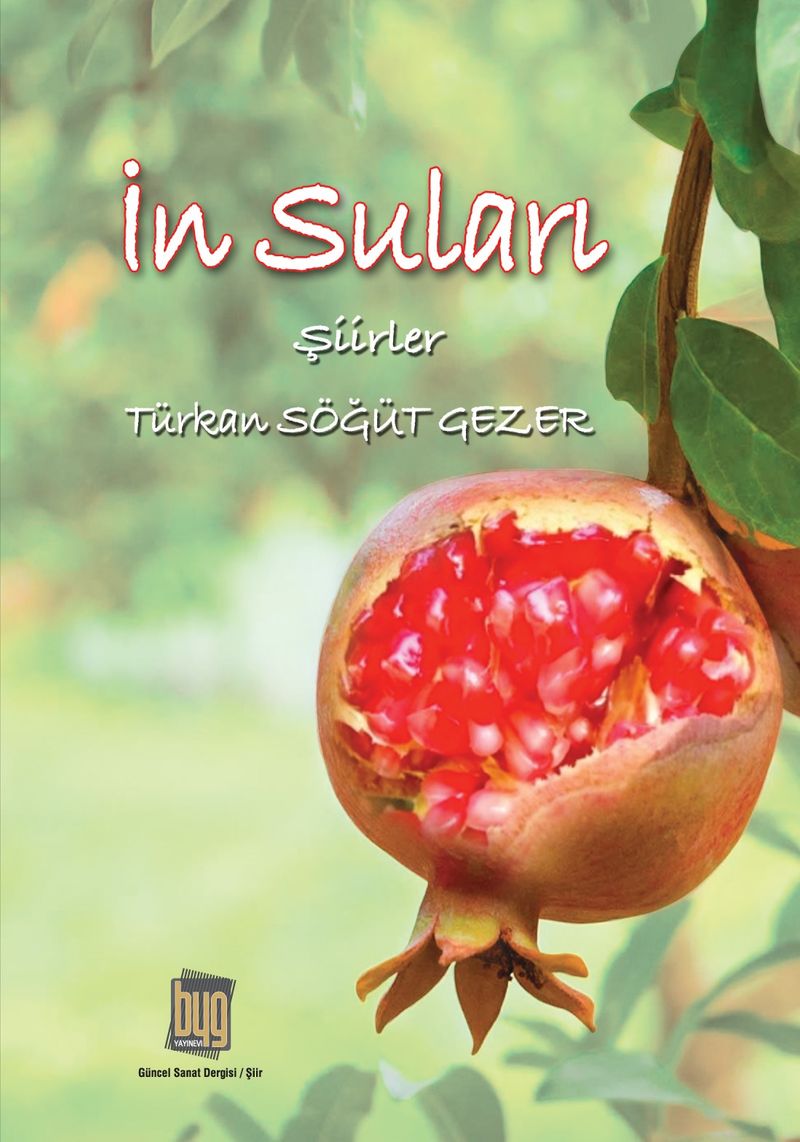 İn Suları kitap kapağı