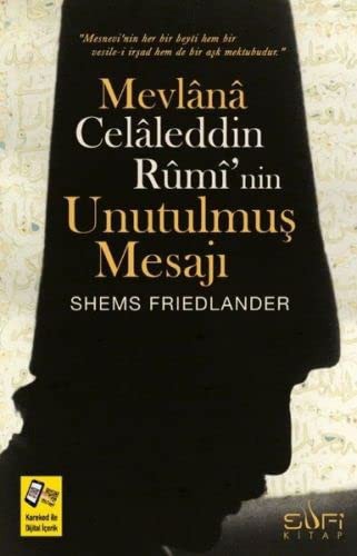 Mevlana Celaleddin Rumi'nin Unutulmuş Mesajı kitap kapağı