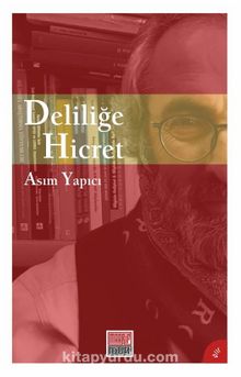 Deliliğe Hicret kitap kapağı