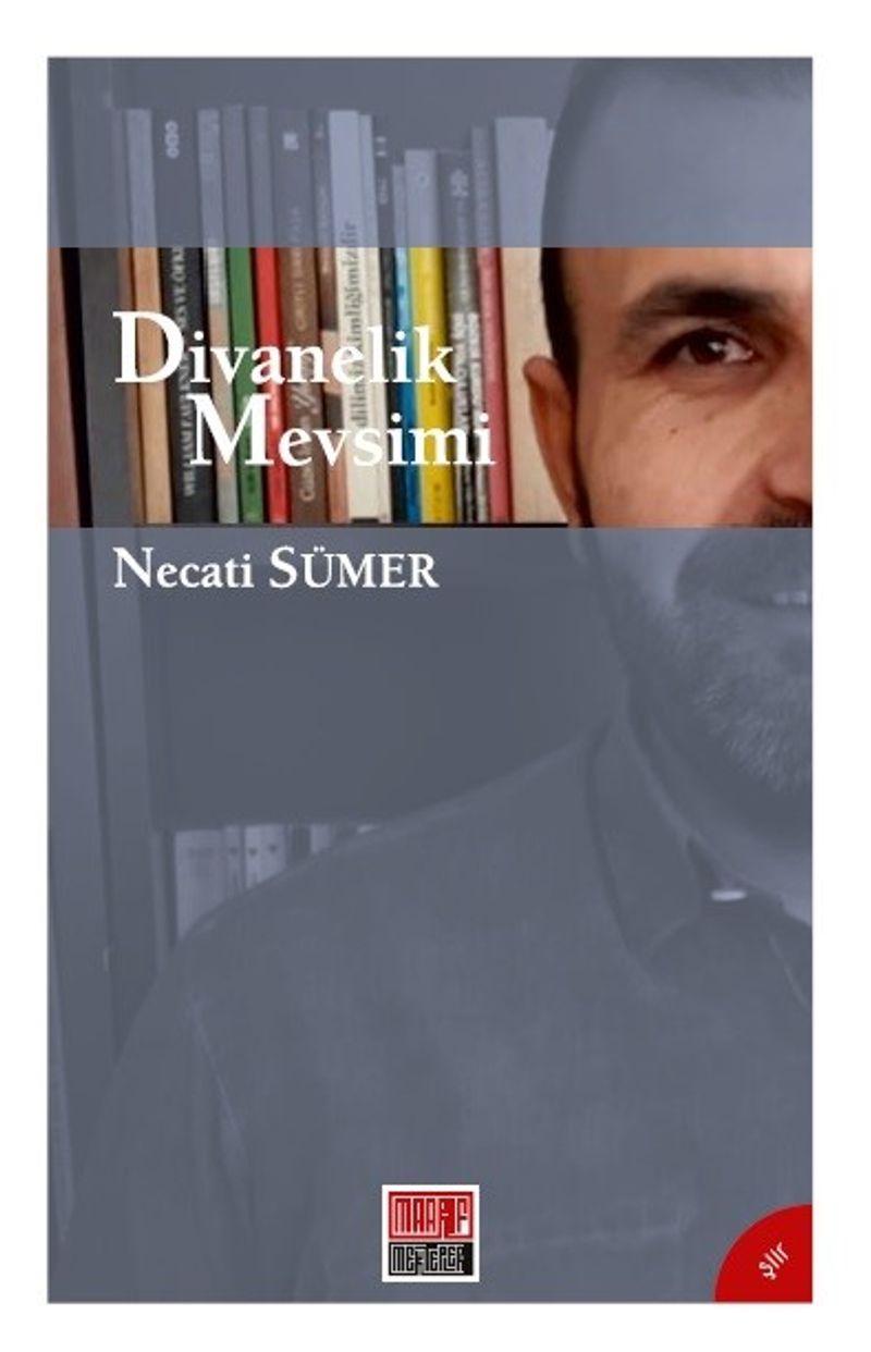 Divanelik Mevsimi kitap kapağı