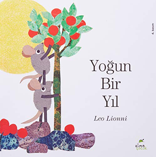 Yoğun Bir yıl kitap kapağı