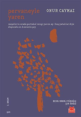 Pervaneyle Yaren kitap kapağı
