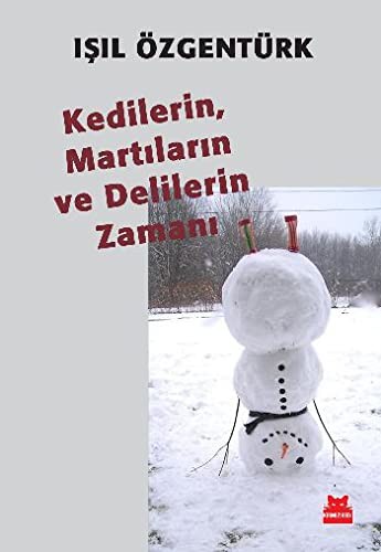 Kedilerin, Martıların ve Delilerin Zamanı kitap kapağı
